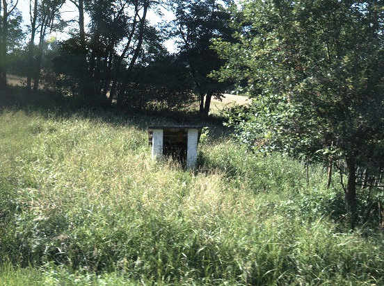 studánka bez jména (12856) - srpen 2019