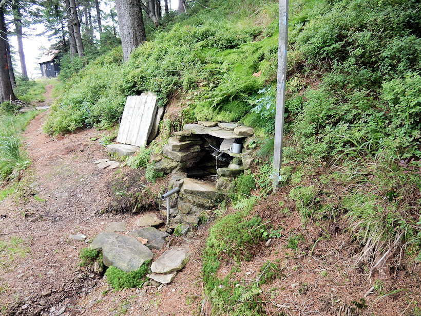 studánka U Šindelky 1 (12872) - srpen 2019