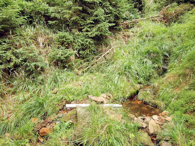 studánka U Šindelky 3 (12874) - srpen 2019