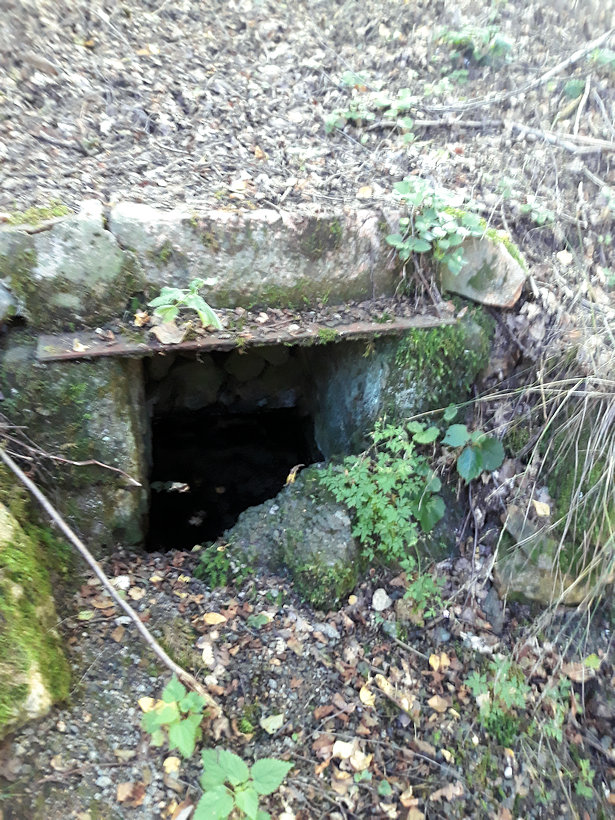 Křtitelní studánka  (12919) - září 2019