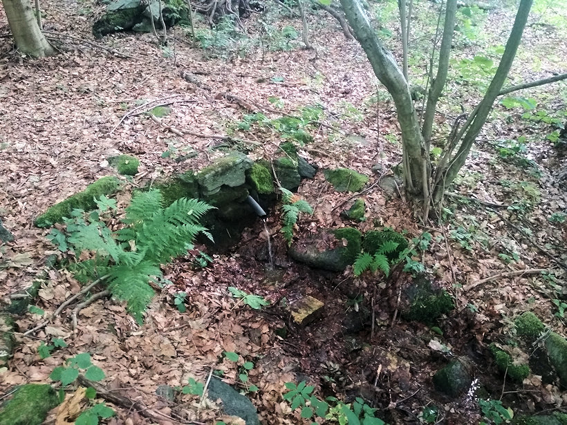 studánka U chaty (12923) - srpen 2019