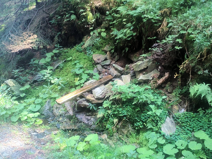 studánka U Jelení boudy (12926) - srpen 2019