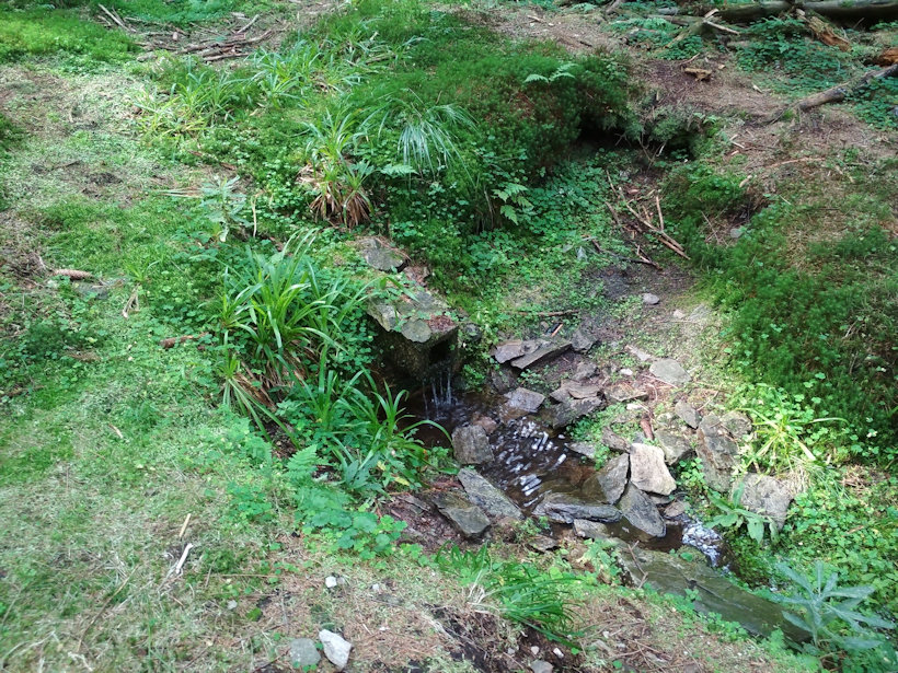 studánka Jelení palouk (12927) - srpen 2019