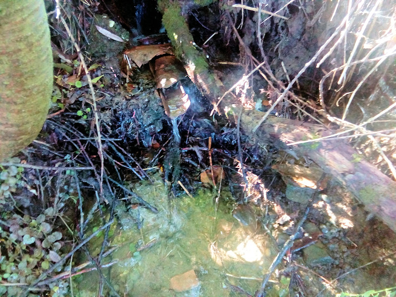 studánka V Úbočí (12940) - září 2019