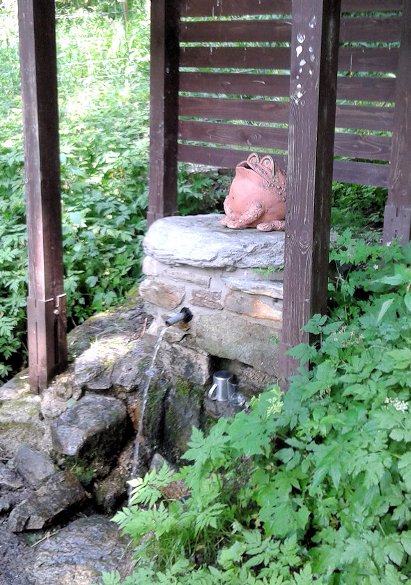 studánka Pod hájovnou (12969) - červenec 2021
