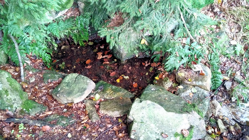 studánka Pod Kletí (12988) - září 2019