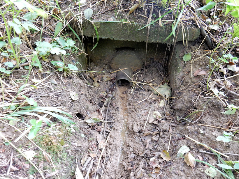 studánka V Hájích 1 (12994) - září 2019