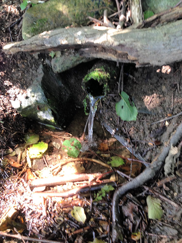 studánka bez jména (13025) - září 2019
