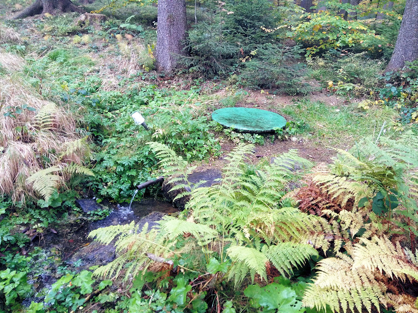 Lesní studánka (13035) - říjen 2019
