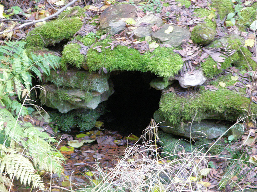 Selská studánka (13037) - říjen 2016
