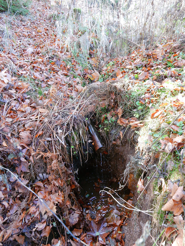 studánka Pod Vartou (13064) - listopad 2019