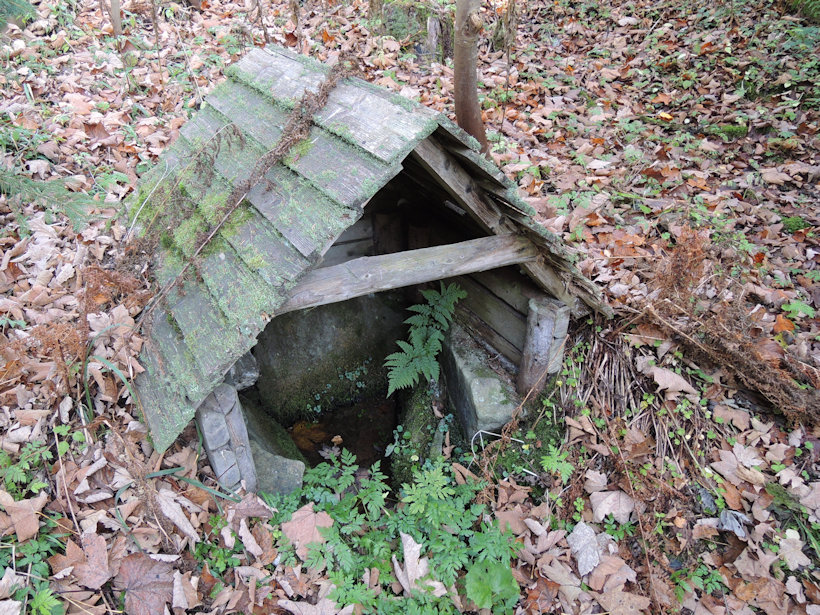 studánka bez jména (13076) - říjen 2019
