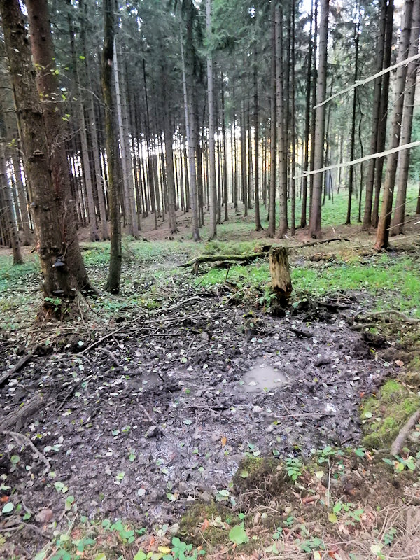 prameniště Pod Třemi kapličkami (13081) - listopad 2019