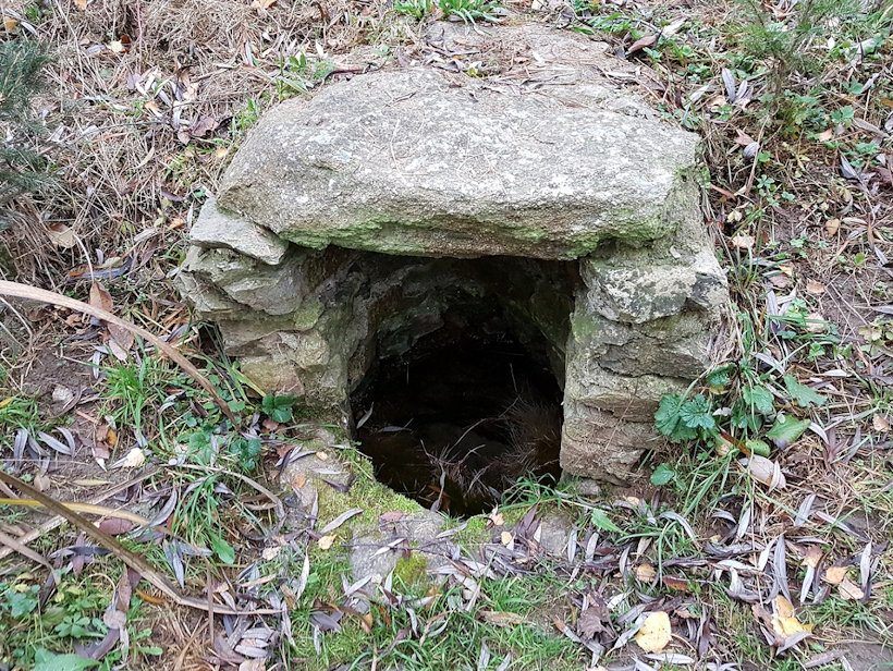 studánka bez jména (13084) - listopad 2019