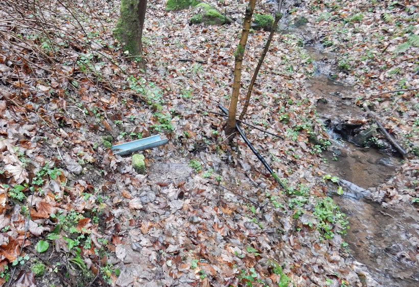 jiný vodní zdroj Nad lávkou (13091) - listopad 2019