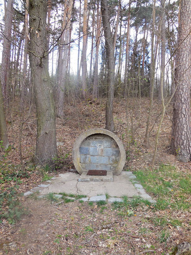 Svojšický pramen (13108) - duben 2019