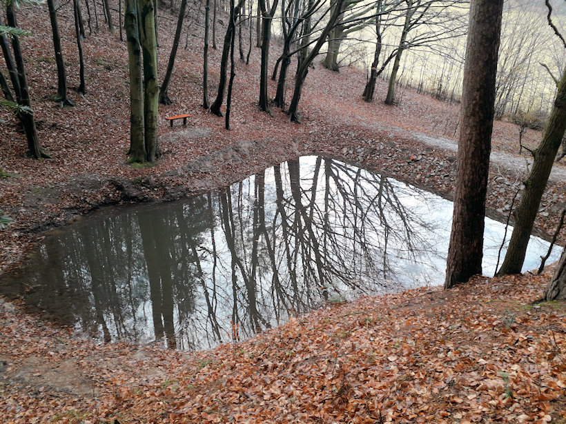 jiný vodní zdroj Rybníček  (13114) - prosinec 2019