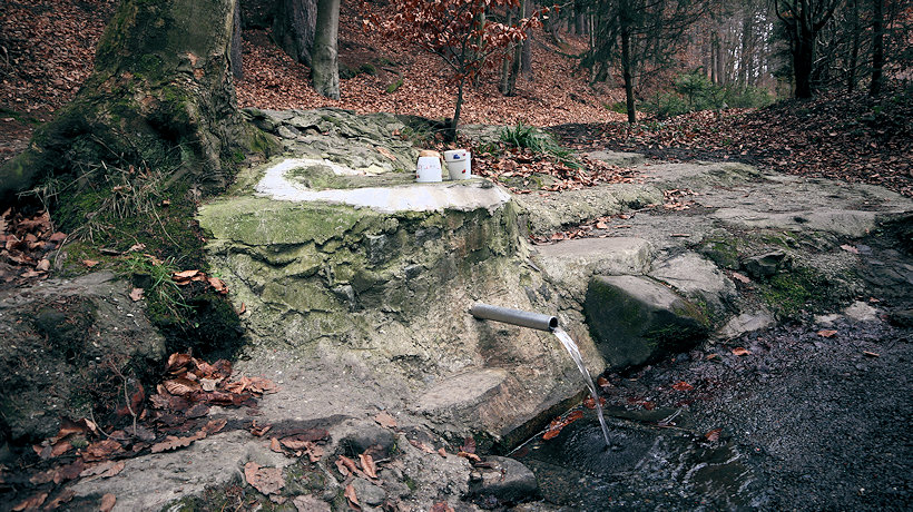 studánka Pod Grúněm (13126) - leden 2020