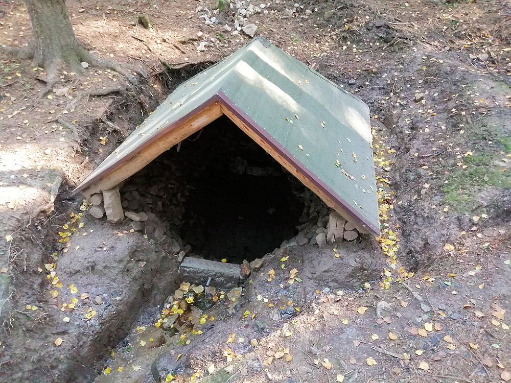 Bartoušovská studánka (13128) - leden 2020