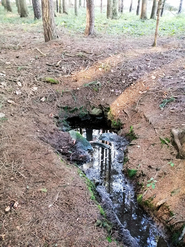 studánka Pod trianglem (13129) - leden 2020