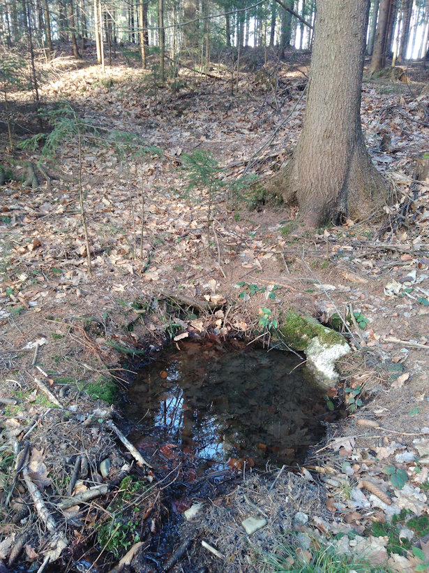Edíčkova studánka (13136) - leden 2020