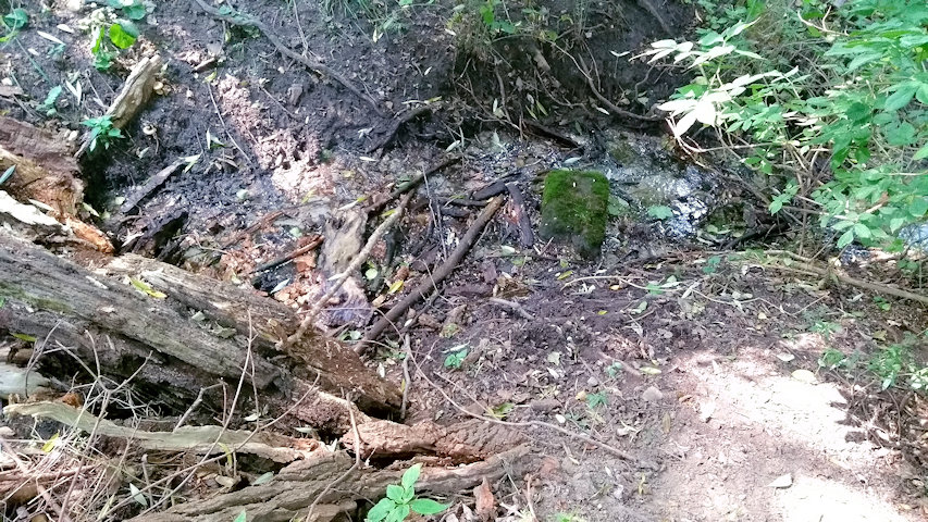 studánka V Glorietu (13172) - srpen 2019