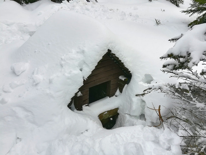 studánka Pod Milířem (13179) - únor 2020