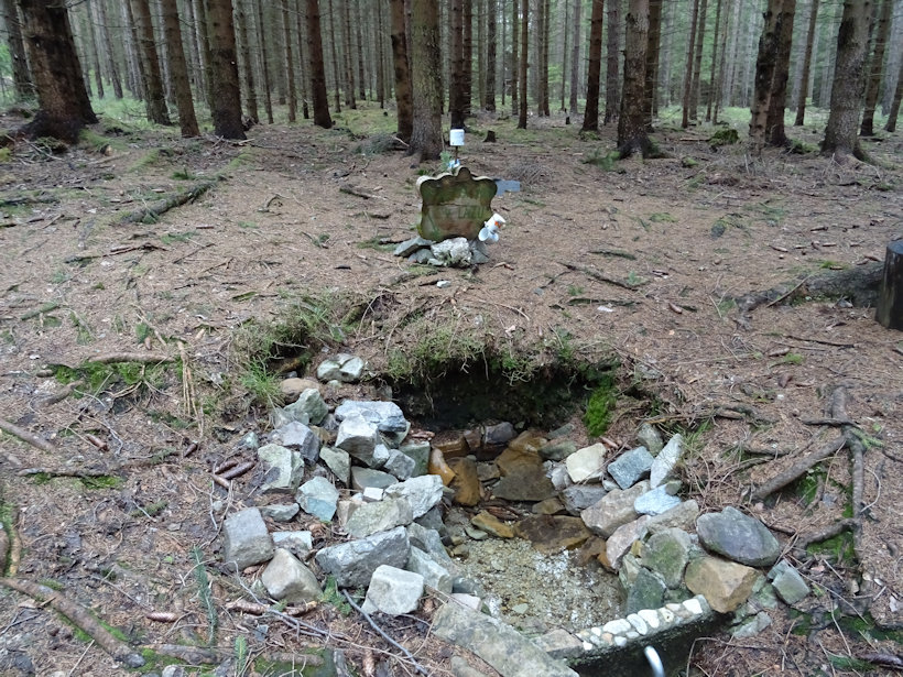 studánka bez jména (13191) - březen 2020