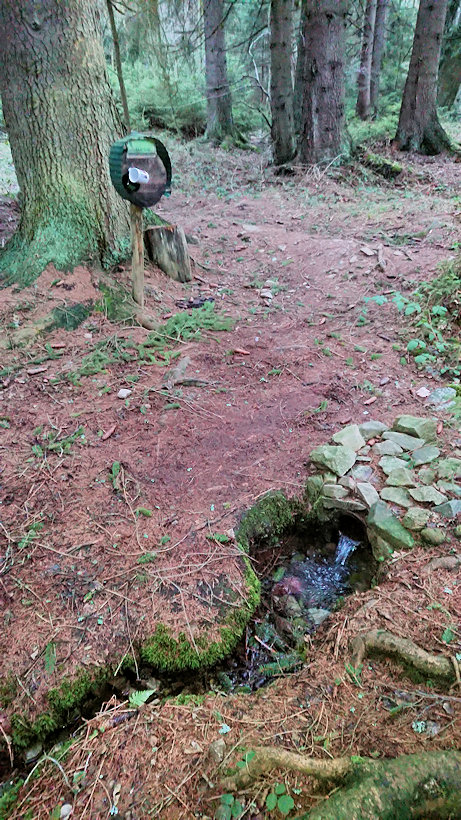 studánka Pramen sv. Anny (13192) - březen 2020