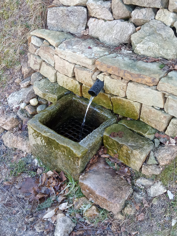 pramen Kosukova studánka (13195) - březen 2020