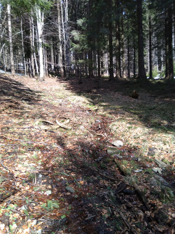 prameniště Nad Ogurkou (13198) - březen 2020
