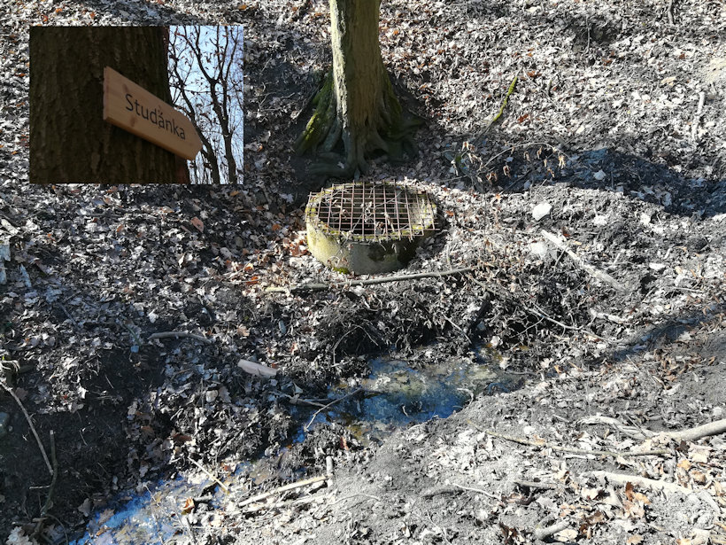 studánka Horní Stakory (13214) - březen 2020
