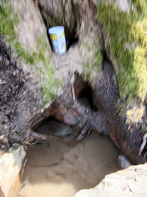 studánka Pod dubem (13233) - duben 2020