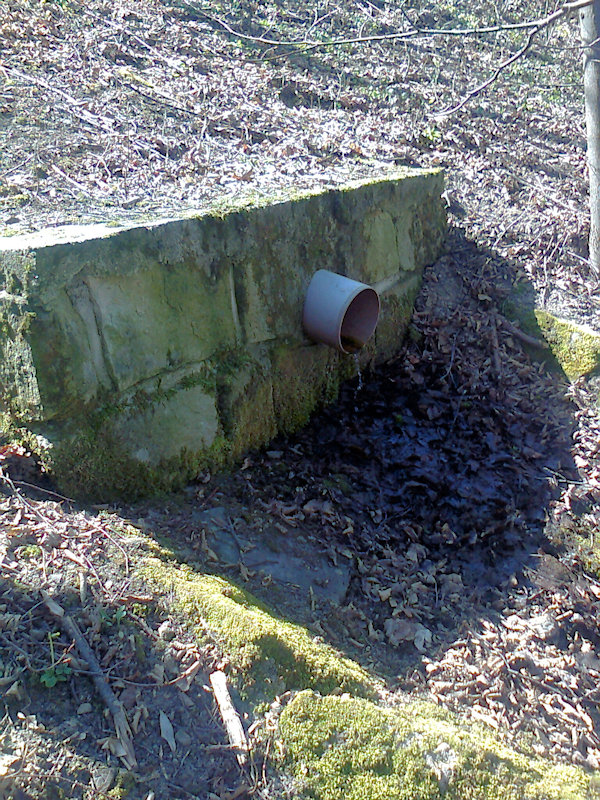 studánka Víťa (13240) - duben 2020