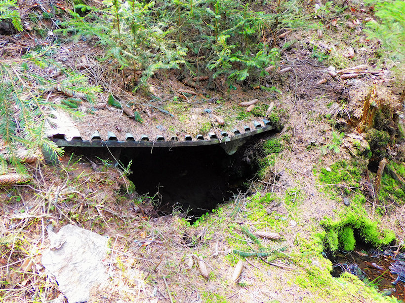 studánka bez jména (13245) - duben 2020