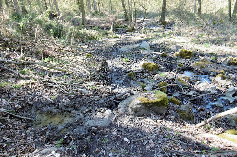studánka bez jména (13249) - duben 2020