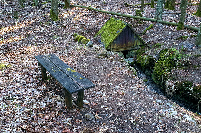 studánka bez jména (13259) - duben 2020