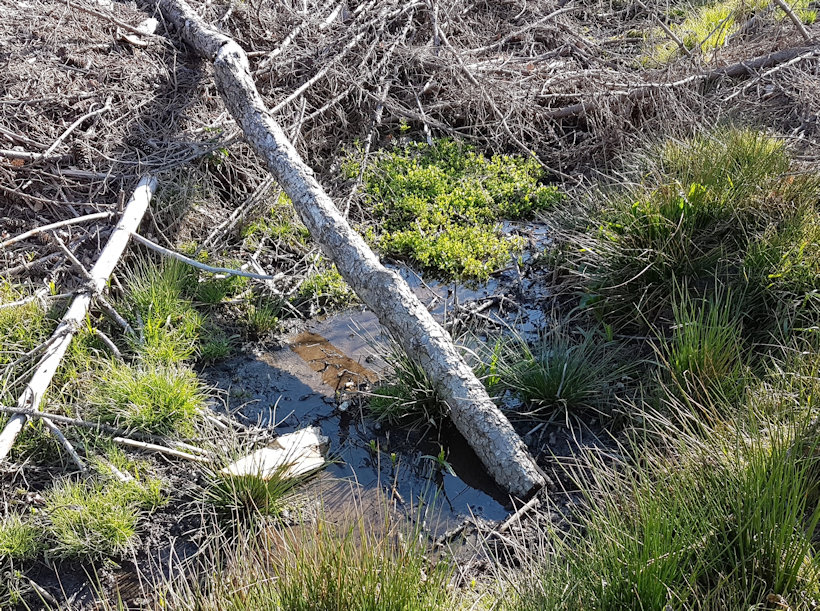 pramen bez jména (13280) - duben 2020