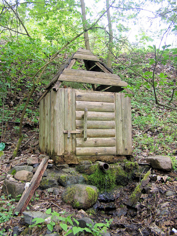 studánka Pod Sokolím vrchem (13293) - květen 2020