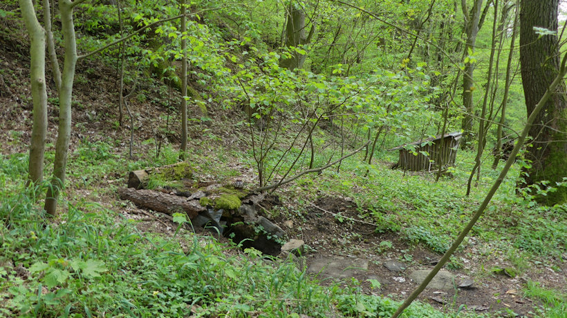 studánka Trojstudánčí (13304) - květen 2020