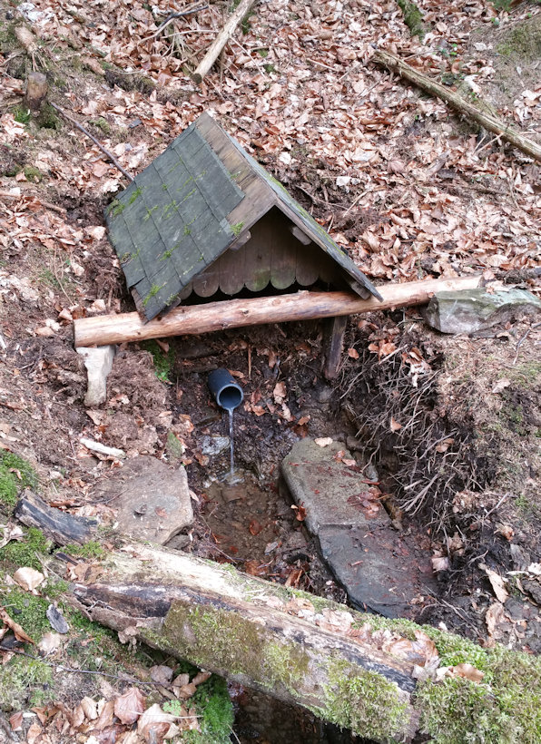 studánka Pod Labem (13307) - květen 2020