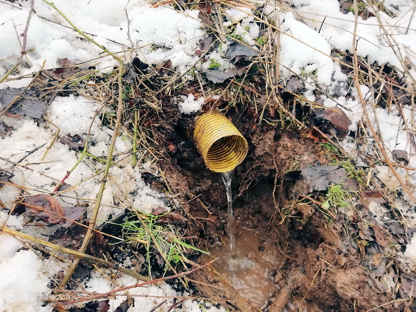 studánka Pod hradem (13331) - únor 2021
