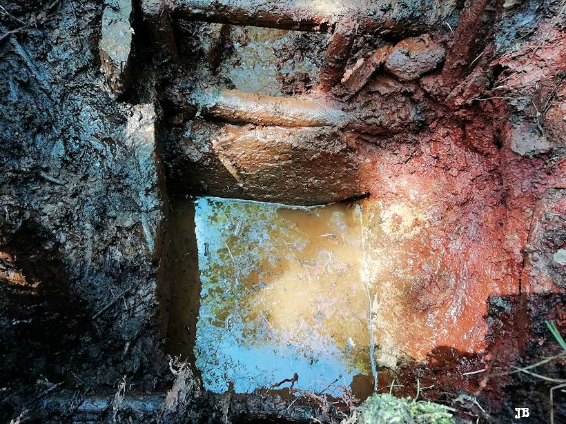 studánka Paličská kyselka (13336) - květen 2020