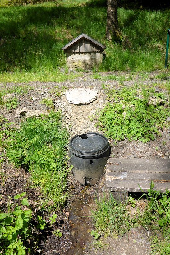 studánka bez jména (13339) - květen 2020
