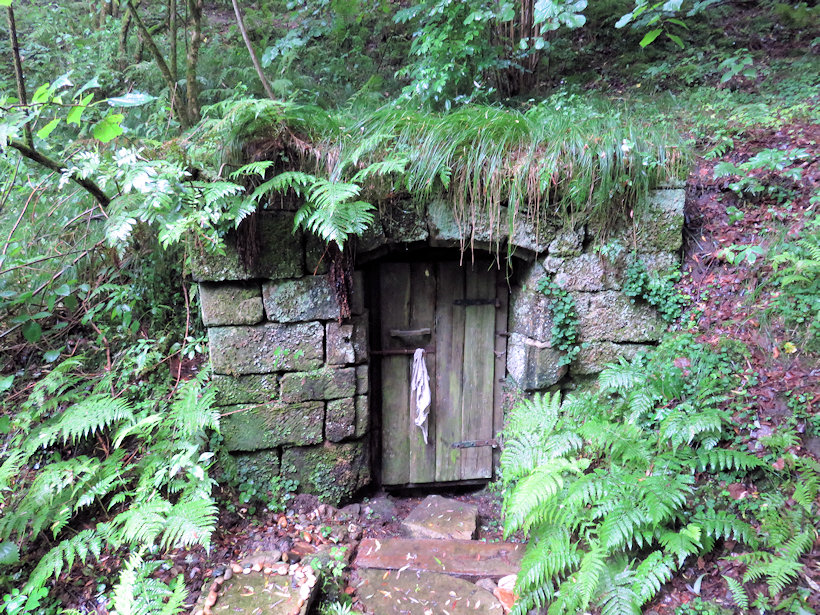 studánka bez jména (13345) - červenec 2017