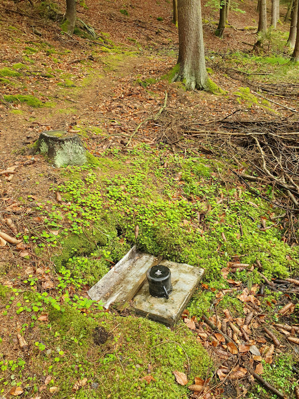 Lesní studánka (13350) - květen 2020