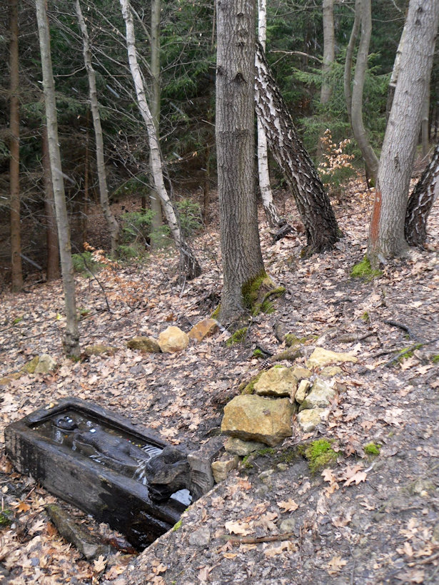studánka U víly (13367) - duben 2015