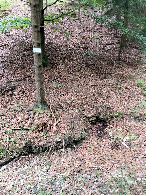 Cikánská studánka (13373) - červen 2020