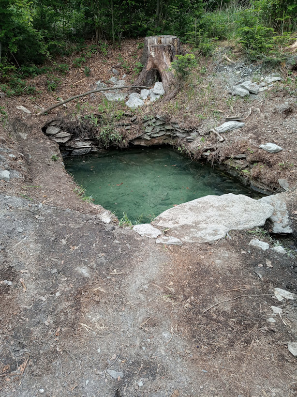 studánka Jiřinka (13374) - červen 2020