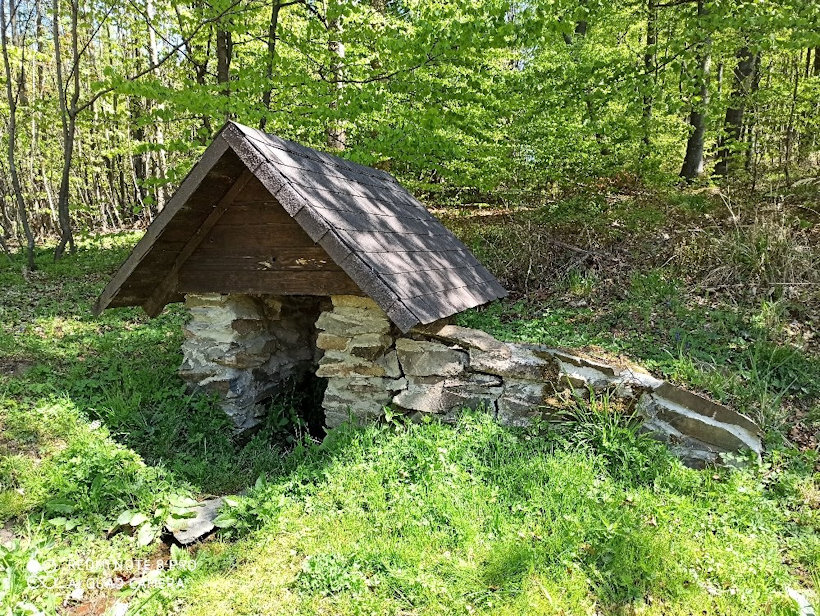 studánka bez jména (13380) - červen 2020